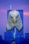 eaglelooking.jpg